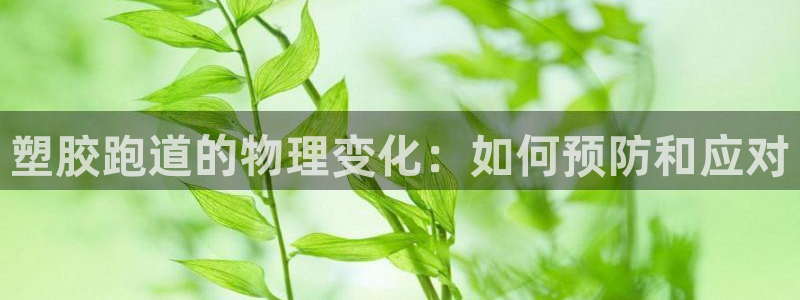 红足一比分网：塑胶跑道的物理变化：如何预防和应对