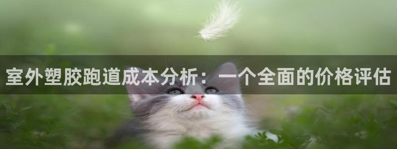 红足l一世开奖现场62ty：室外塑胶跑道成本分析：一个全面的价格评估