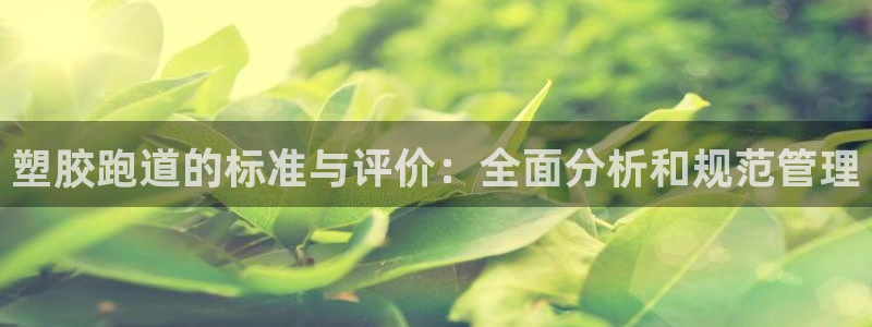 百度红足一1世：塑胶跑道的标准与评价：全面分析和规范管理