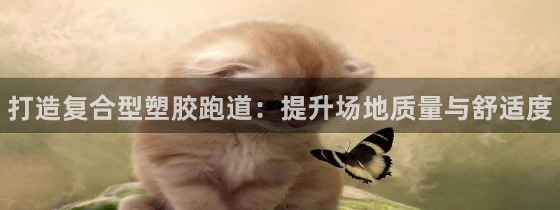 红足一1世开奖记录：打造复合型塑胶跑道：提升场地质量与舒适度