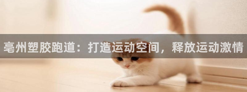 红足一1世手机版赛果：亳州塑胶跑道：打造运动空间，释放运动激情