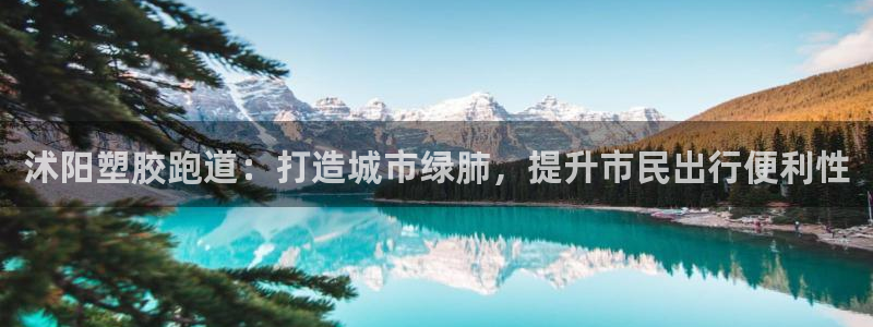 红足一丰:沭阳塑胶跑道:打造城市绿肺,提升市民出行便利性