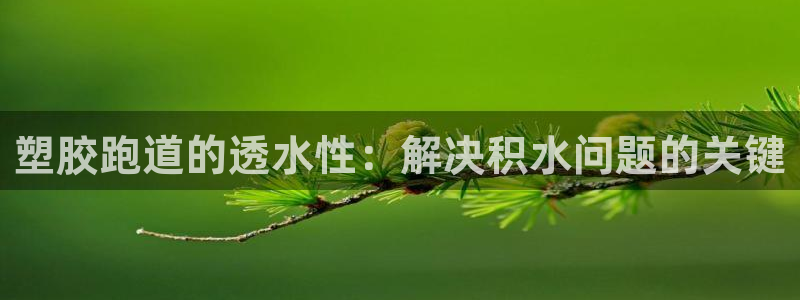 百度红足一1是为什么:塑胶跑道的透水性:解决积水问题的关键