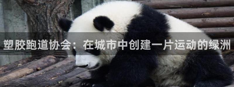 红足一生世：塑胶跑道协会：在城市中创建一片运动的绿洲
