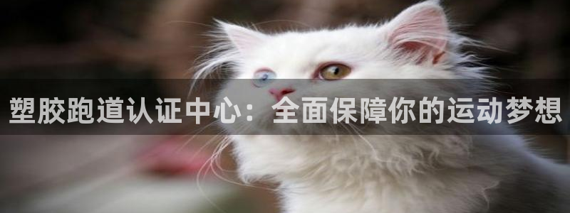 红世一足球比分：塑胶跑道认证中心：全面保障你的运动梦想