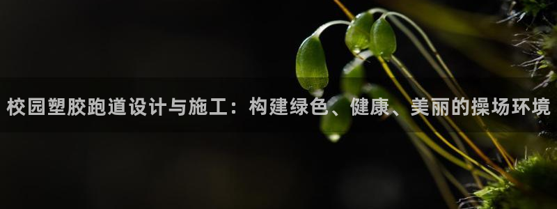 红足一1世手机版新皇冠：校园塑胶跑道设计与施工：构建绿色、健康、美丽的操场环境