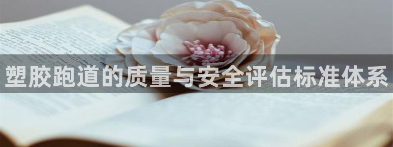 红足一1世66814:塑胶跑道的质量与安全评估标准体系