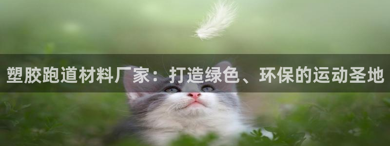 红足一一世：塑胶跑道材料厂家：打造绿色、环保的运动圣地