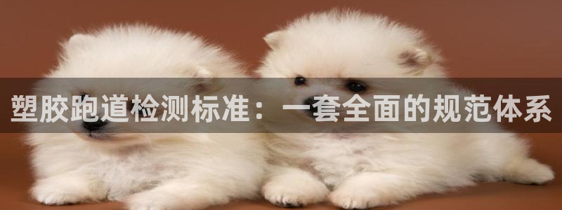 66814红足:塑胶跑道检测标准:一套全面的规范体系