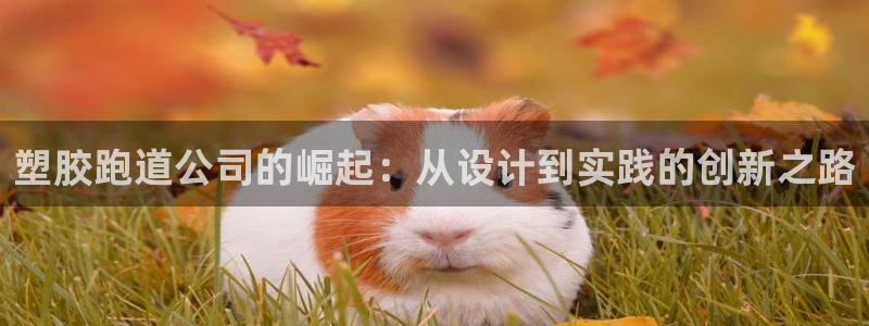 红足一1世比分：塑胶跑道公司的崛起：从设计到实践的创新之路