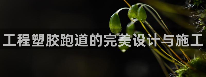 红足1世手机版下载：工程塑胶跑道的完美设计与施工