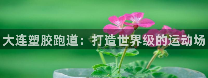 777814红·足一世比分篮球：大连塑胶跑道：打造世界级的运动场