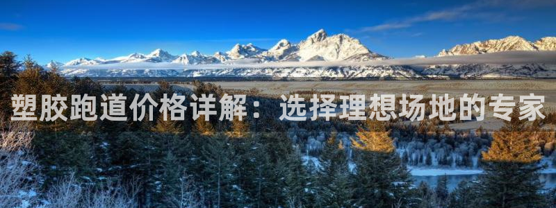 新2足球平台出租网站:塑胶跑道价格详解:选择理想场地的专家