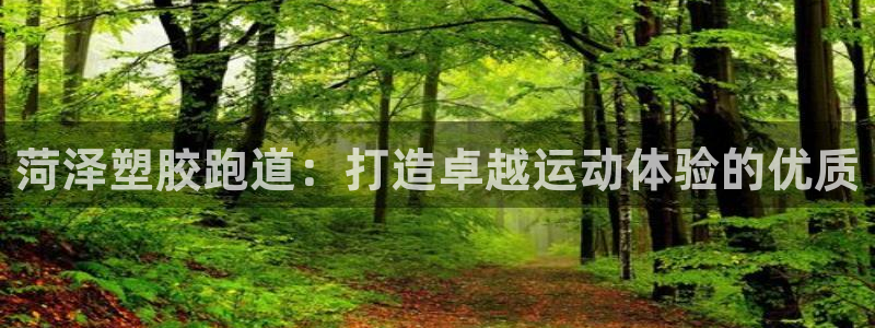 红足一1世开奖记录：菏泽塑胶跑道：打造卓越运动体验的优质