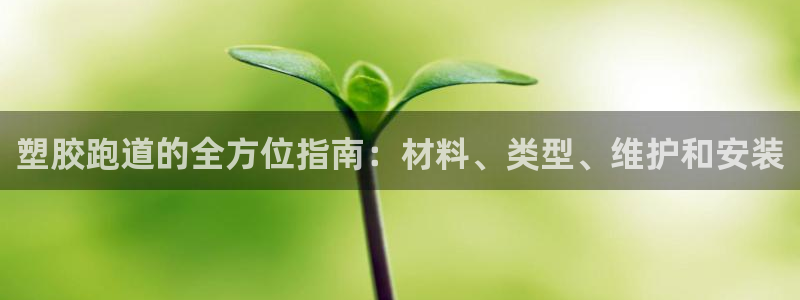 红足1世足球网址：塑胶跑道的全方位指南：材料、类型、维护和安装