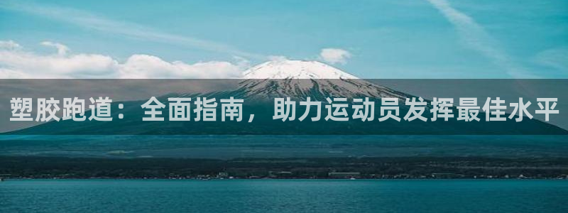 红足1一世：塑胶跑道：全面指南，助力运动员发挥最佳水平