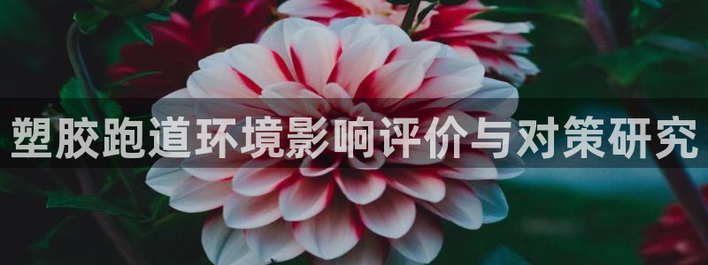 红足1一世开奖版：塑胶跑道环境影响评价与对策研究