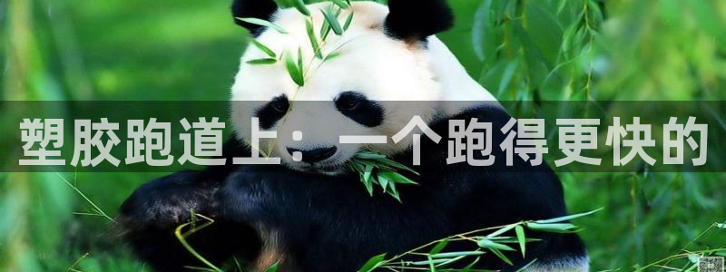 红足1世足球网址大全：塑胶跑道上：一个跑得更快的