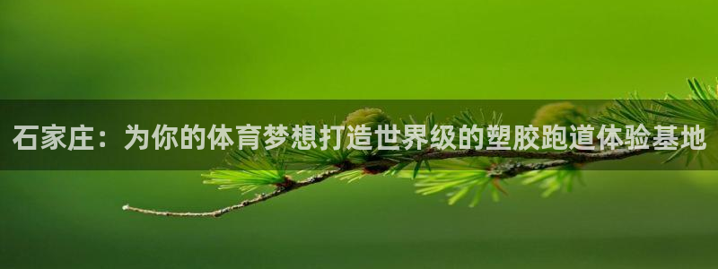 红足1一世开奖版：石家庄：为你的体育梦想打造世界级的塑胶跑道体验基地