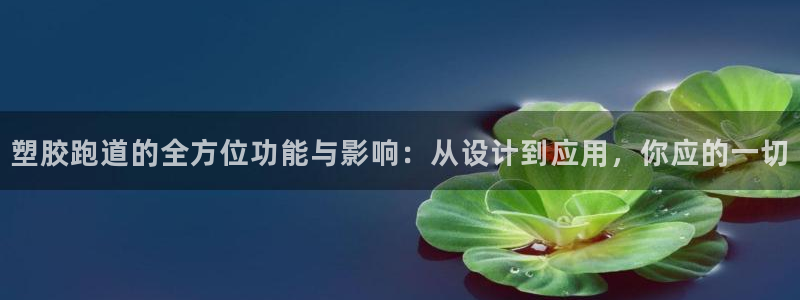 红足一1世666814最新结果：塑胶跑道的全方位功能与影响：从设计到应用，你应的一切