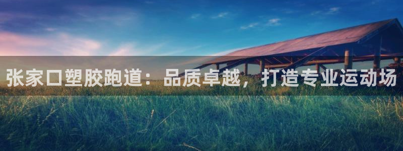 红足1世足球网址大全：张家口塑胶跑道：品质卓越，打造专业运动场