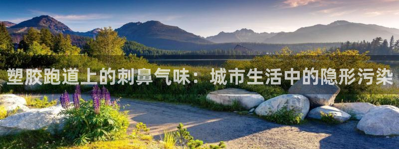 777814红·足一世比分篮球：塑胶跑道上的刺鼻气味：城市生活中的隐形污染