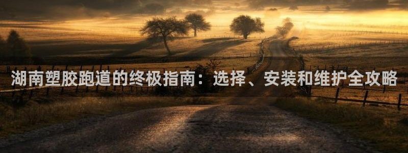 红足一:湖南塑胶跑道的终极指南:选择、安装和维护全攻略