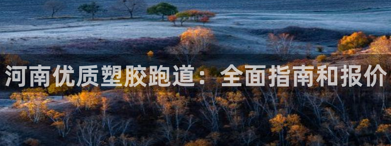 红足1世手机板：河南优质塑胶跑道：全面指南和报价