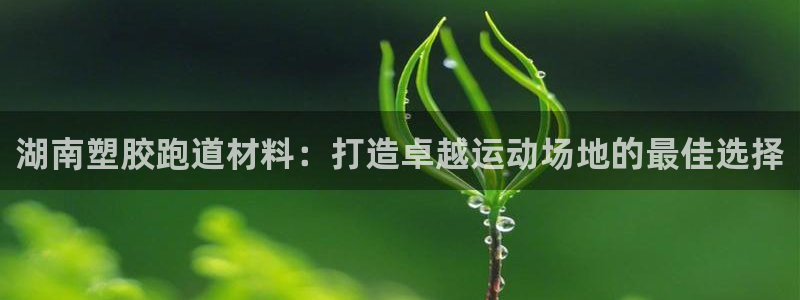 红足l一世开奖现场62ty：湖南塑胶跑道材料：打造卓越运动场地的最佳选择