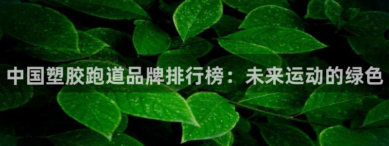 红足一一世：中国塑胶跑道品牌排行榜：未来运动的绿色