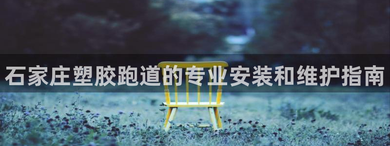 77814红足1世：石家庄塑胶跑道的专业安装和维护指南