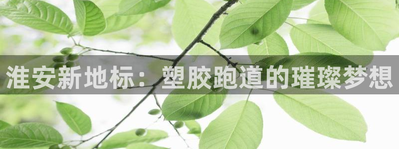 44814红足：淮安新地标：塑胶跑道的璀璨梦想