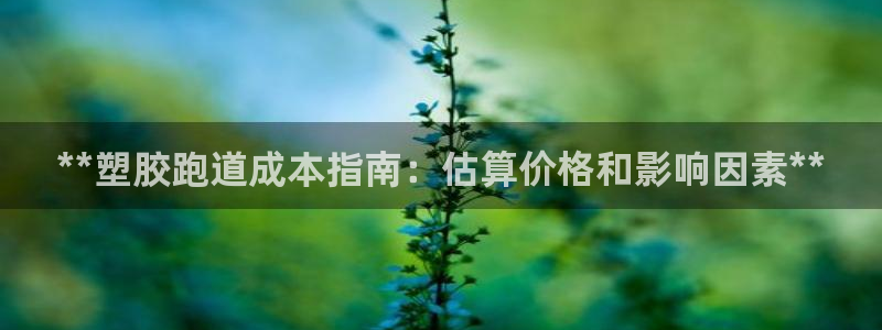 红足1世足球网址大全：**塑胶跑道成本指南：估算价格和影响因素**