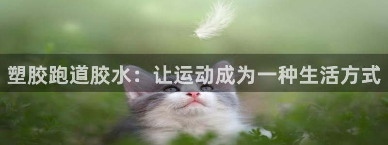 333814红足1世：塑胶跑道胶水：让运动成为一种生活方式