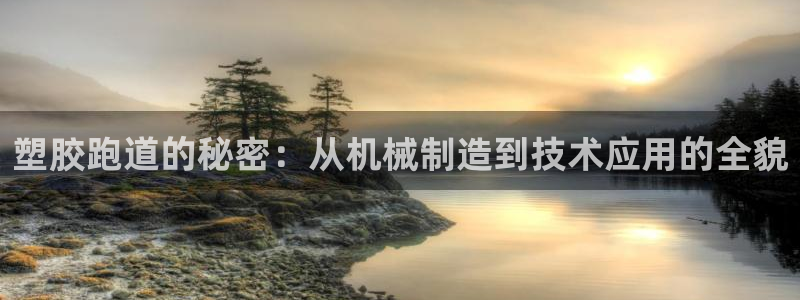 红足1一世开奖版：塑胶跑道的秘密：从机械制造到技术应用的全貌