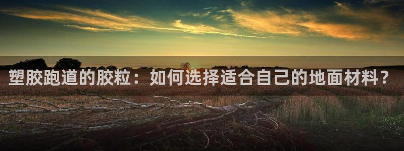 333814红·足一世比分：塑胶跑道的胶粒：如何选择适合自己的地面材料？