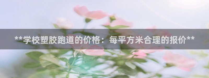 红足1世官网：**学校塑胶跑道的价格：每平方米合理的报价**