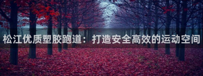 红足1一世足球手机：松江优质塑胶跑道：打造安全高效的运动空间