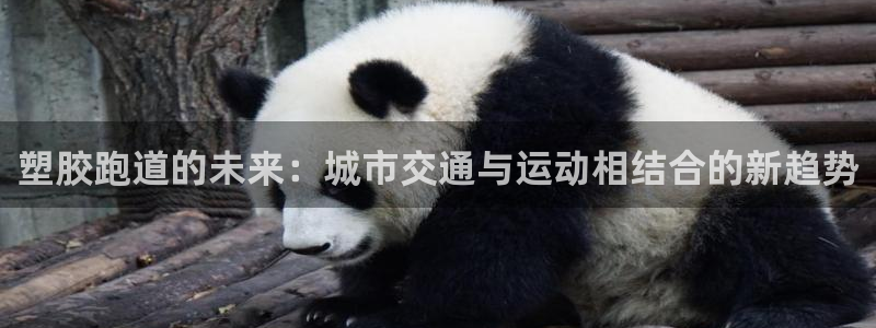 777814红·足一世比分：塑胶跑道的未来：城市交通与运动相结合的新趋势