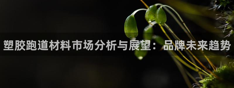 红足1世手机板:塑胶跑道材料市场分析与展望:品牌未来趋势