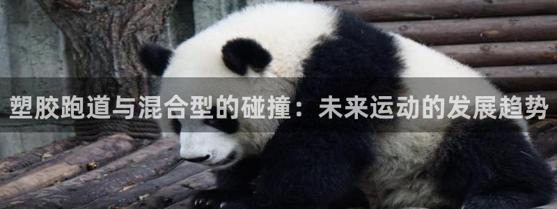 红足1世足球:塑胶跑道与混合型的碰撞:未来运动的发展趋势