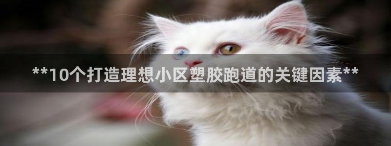 红足一1世手机皇冠：**10个打造理想小区塑胶跑道的关键因素**