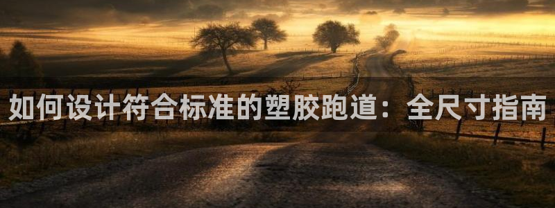 红足i世足球手机网:如何设计符合标准的塑胶跑道:全尺寸指南