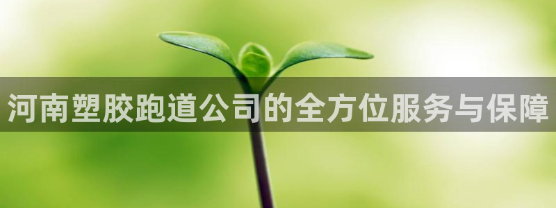 红足一1世平台:河南塑胶跑道公司的全方位服务与保障