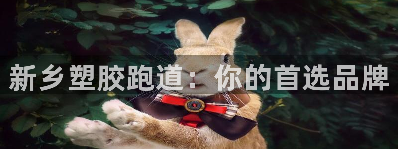 红足1世手机版下载：新乡塑胶跑道：你的首选品牌