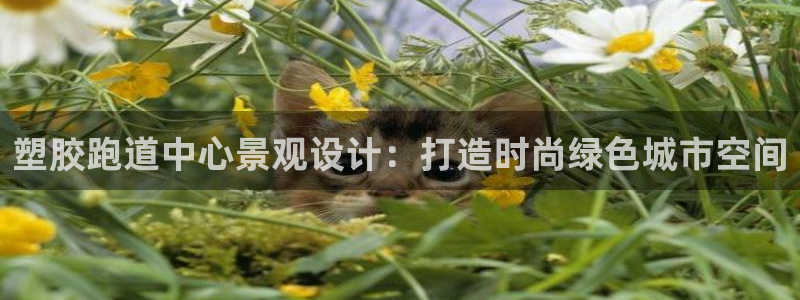 红足一1世手机版新皇冠：塑胶跑道中心景观设计：打造时尚绿色城市空间