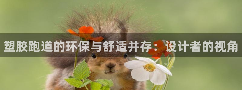 红足一比分网:塑胶跑道的环保与舒适并存:设计者的视角