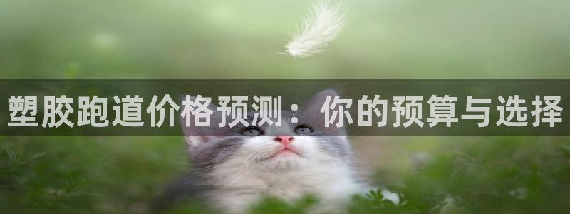 红足1世足球比分预测：塑胶跑道价格预测：你的预算与选择