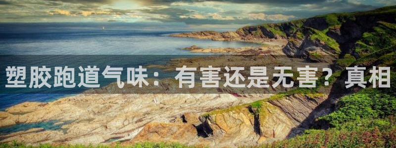 红足1世足球比分 localhost：塑胶跑道气味：有害还是无害？真相