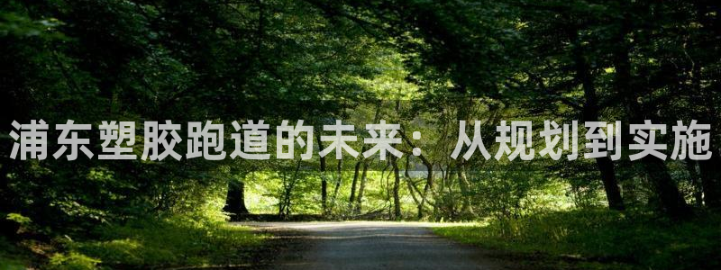 777814红·足一世比分：浦东塑胶跑道的未来：从规划到实施